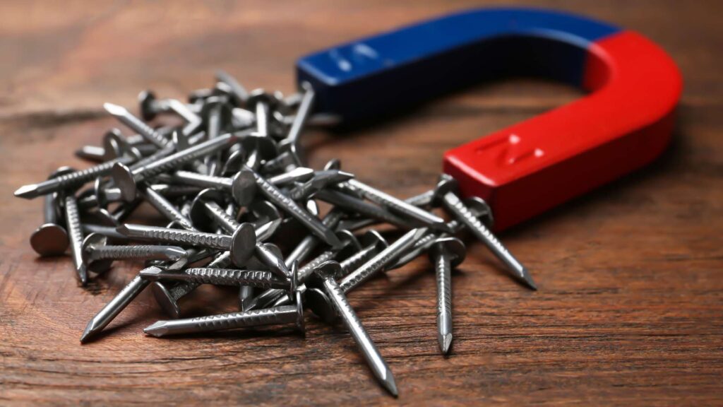 Magnet